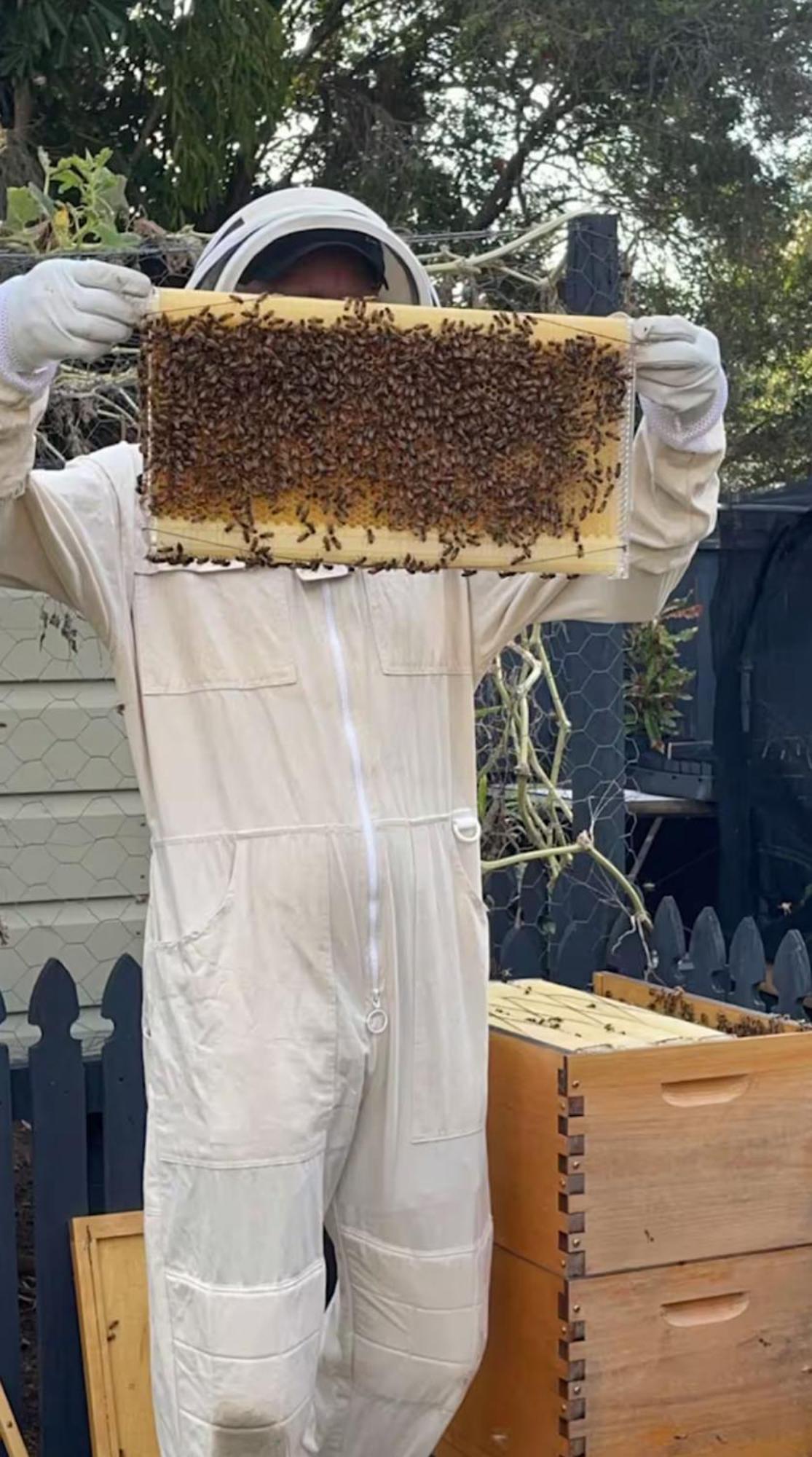 Отель Bee House Dinmore Экстерьер фото